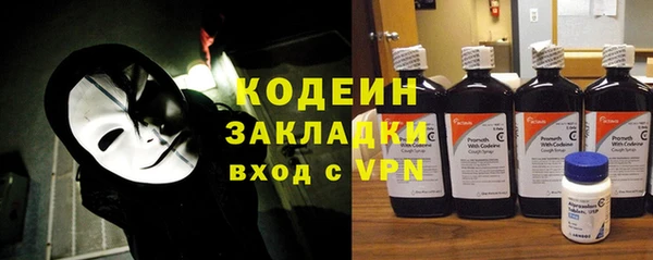 дмт Елизово