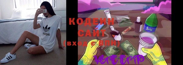 дмт Елизово