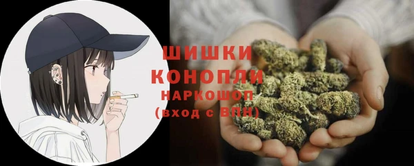 дмт Елизово