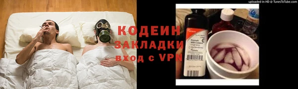 дмт Елизово