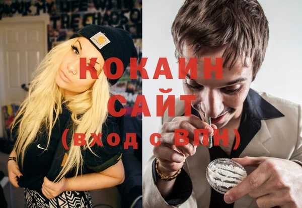 дмт Елизово