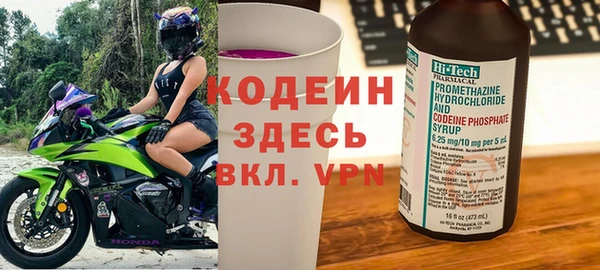 дмт Елизово