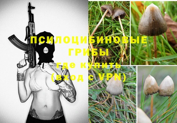 a pvp Елабуга