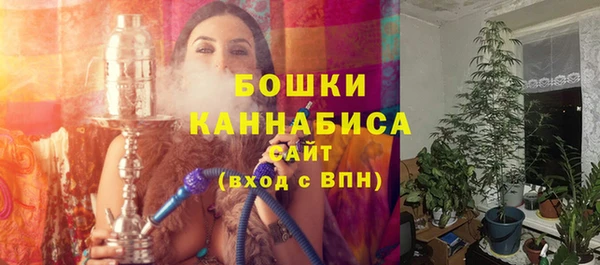 прущий лед Ельня