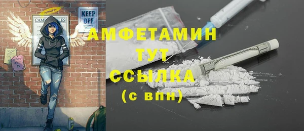 прущий лед Ельня